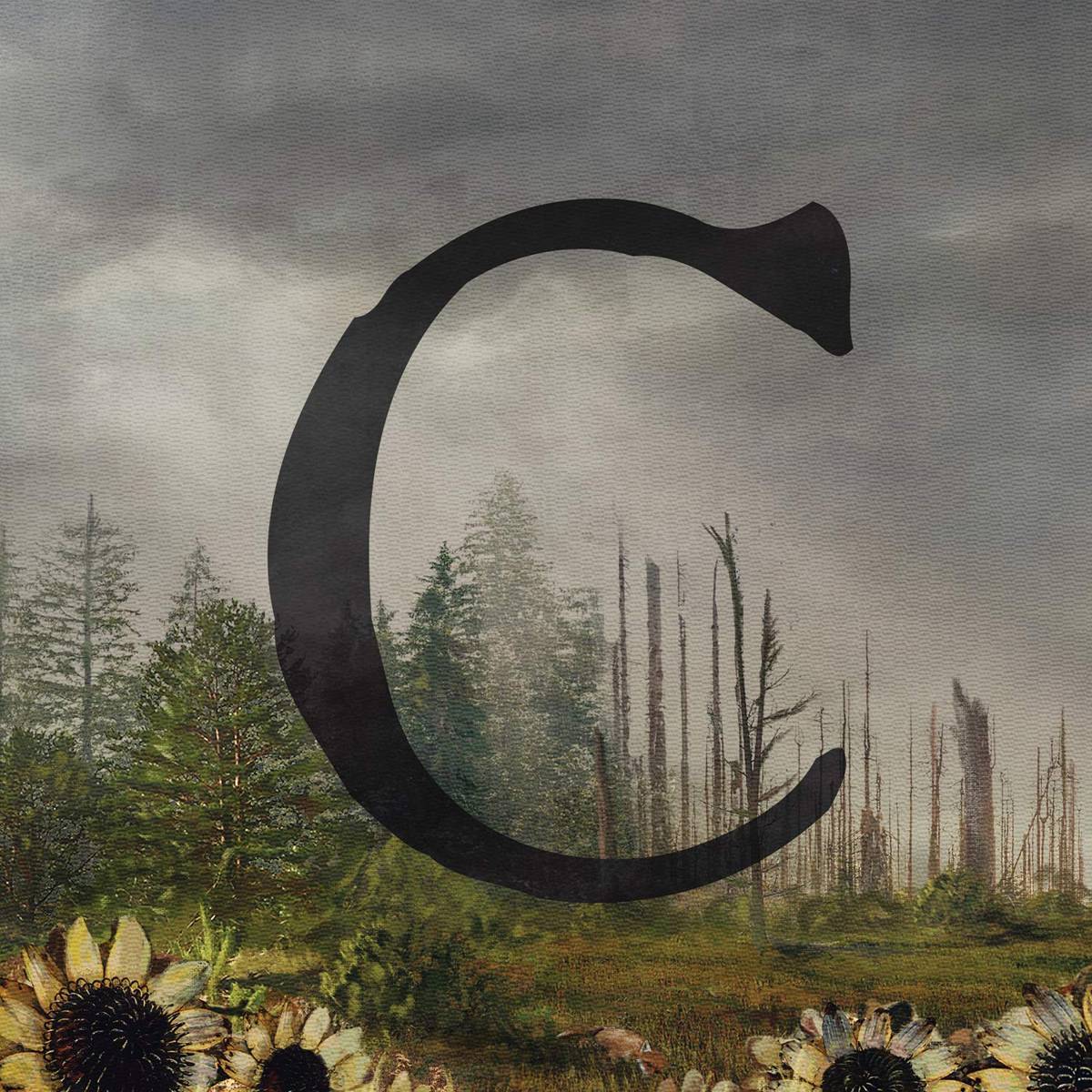 C - The Acacia Strain - Poster | Canvas Wall Art Print
