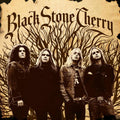 Black Stone Cherry - Black Stone Cherry - Poster | Canvas Wall Art Print