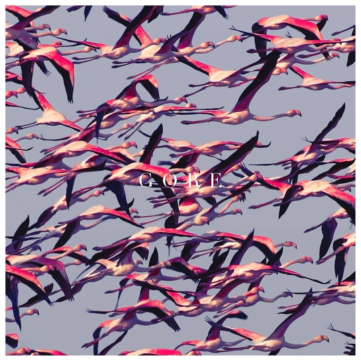 Gore - Deftones - Poster | Canvas Wall Art Print
