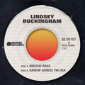 Holiday Road - Lindsey Buckingham - Poster | Canvas Wall Art Print
