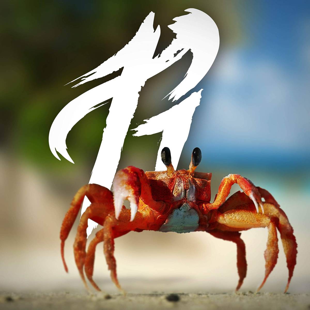 Crab Rave - Richaadeb - Poster | Canvas Wall Art Print