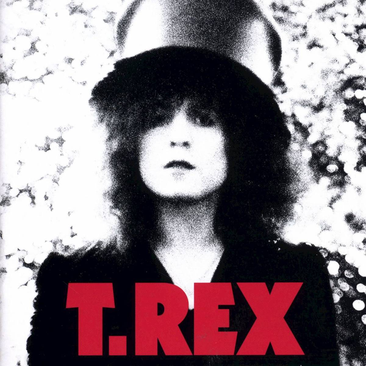 The Slider - T. Rex - Poster | Canvas Wall Art Print