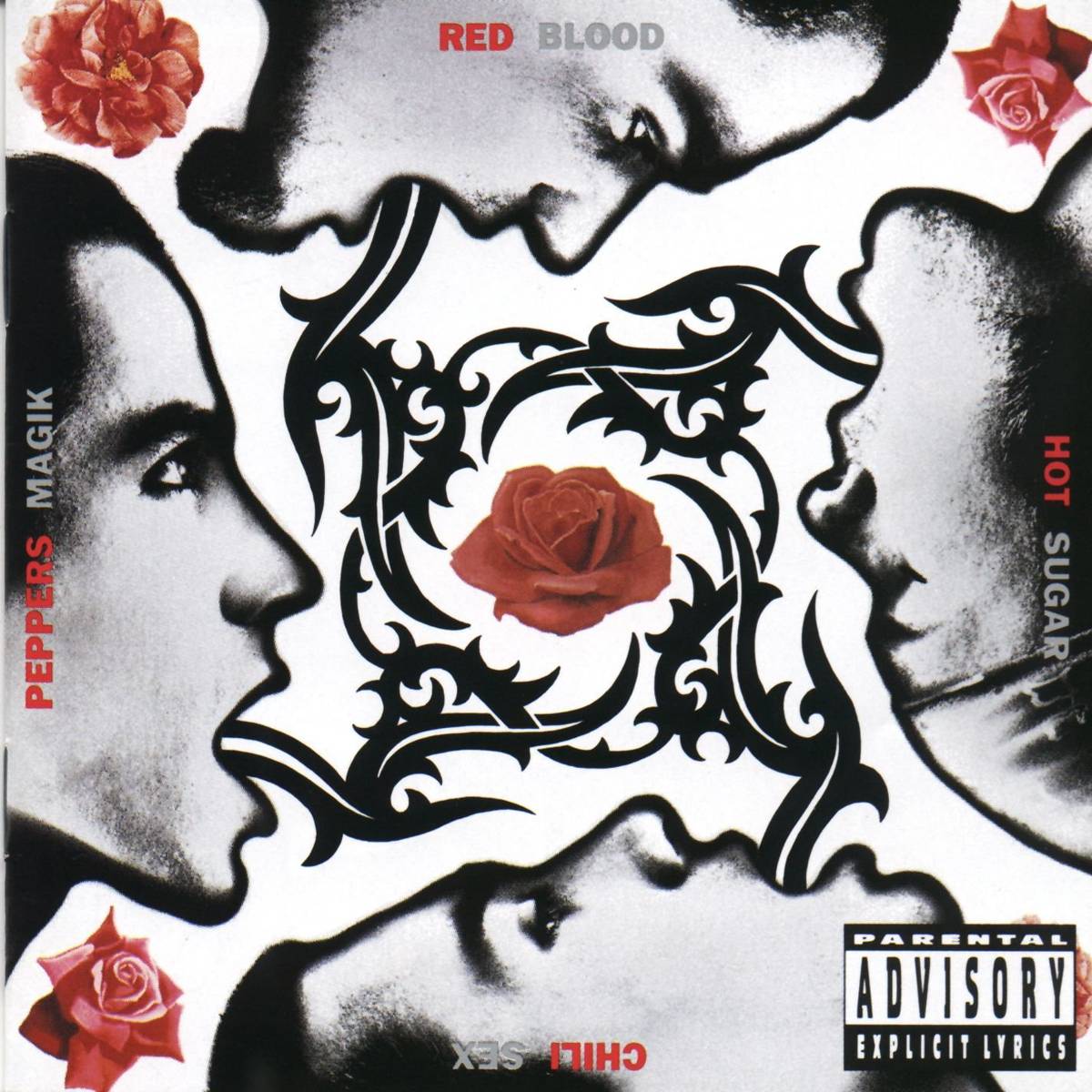 Blood Sugar Sex Magik - Red Hot Chili Peppers - Poster | Canvas Wall Art Print