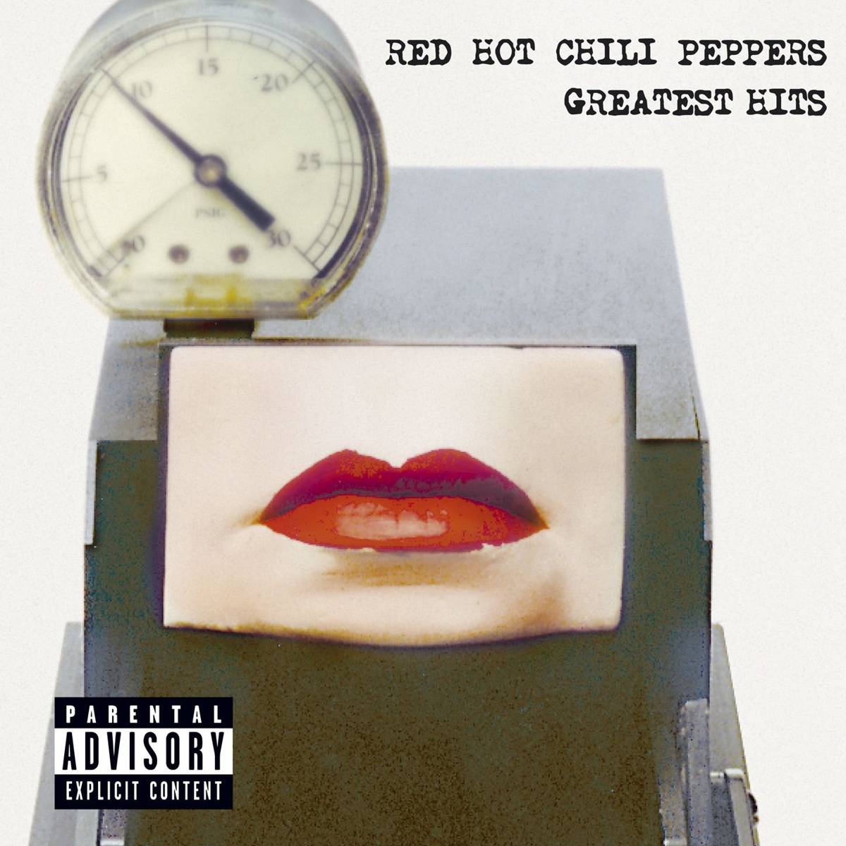 Greatest Hits - Red Hot Chili Peppers - Poster | Canvas Wall Art Print