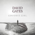 Goodbye Girl - David Gates - Poster | Canvas Wall Art Print
