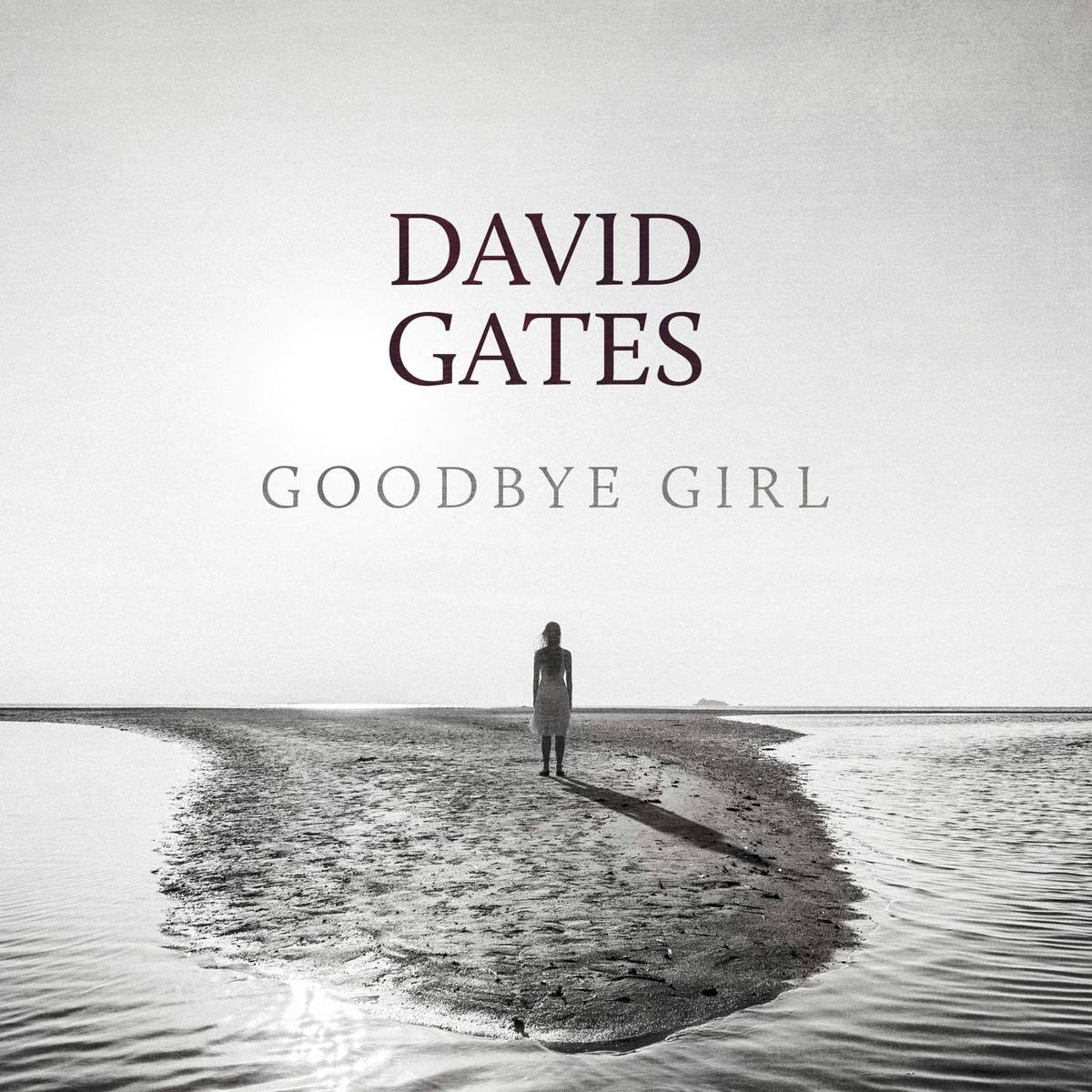 Goodbye Girl - David Gates - Poster | Canvas Wall Art Print