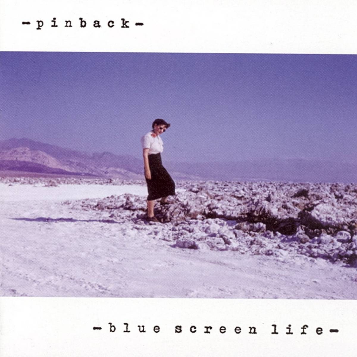 Blue Screen Life - Pinback - Poster | Canvas Wall Art Print
