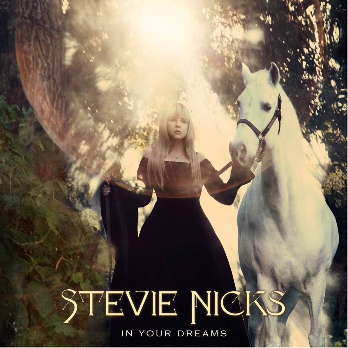 In Your Dreams - Stevie Nicks - Poster | Canvas Wall Art Print