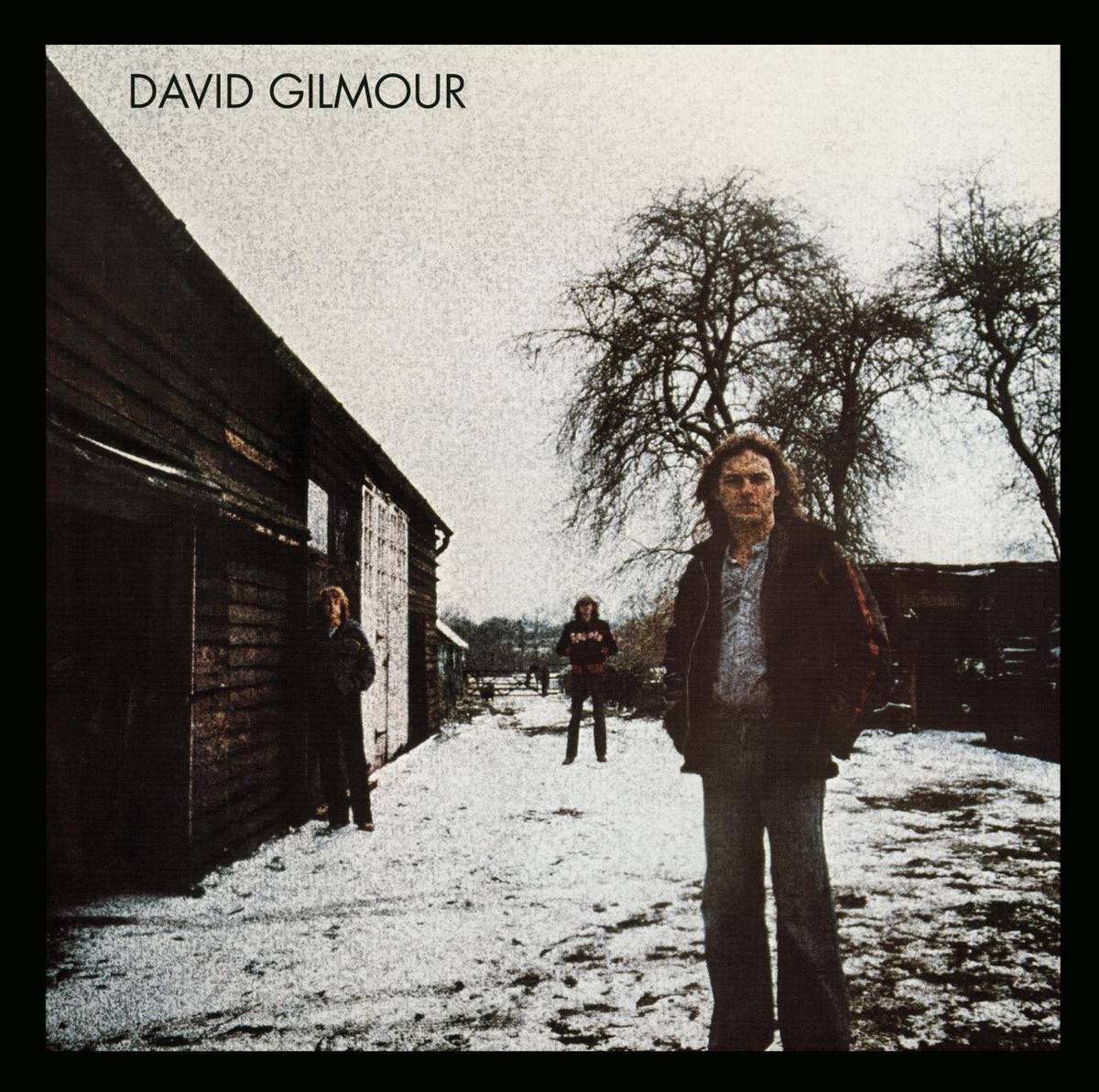 David Gilmour - David Gilmour - Poster | Canvas Wall Art Print