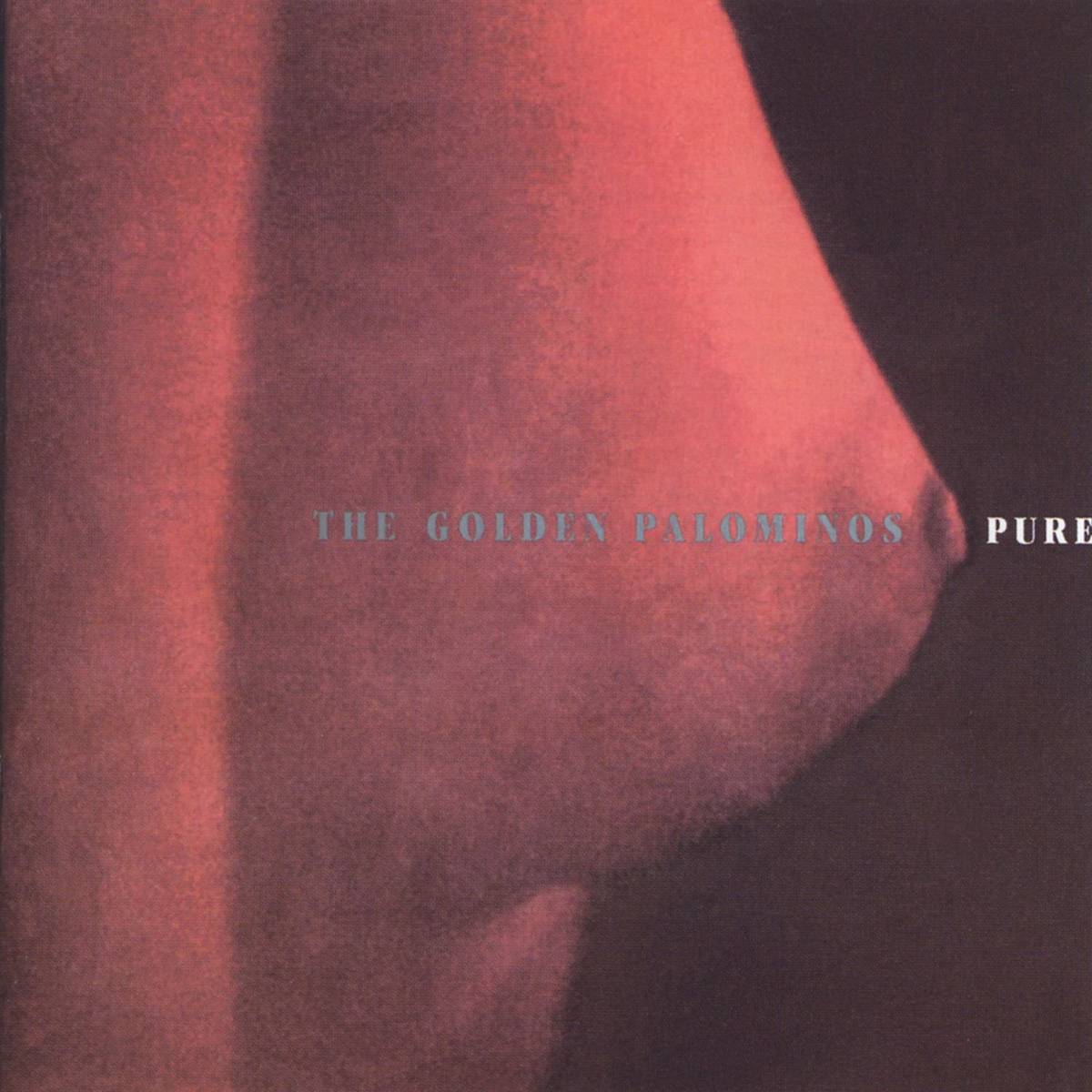 Pure - The Golden Palominos - Poster | Canvas Wall Art Print
