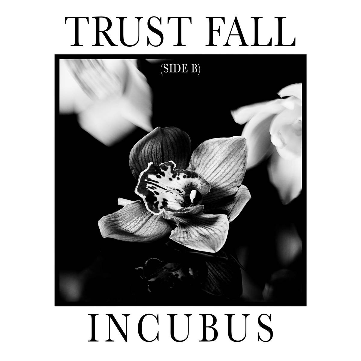 Trust Fall (Side B) - Incubus - Poster | Canvas Wall Art Print