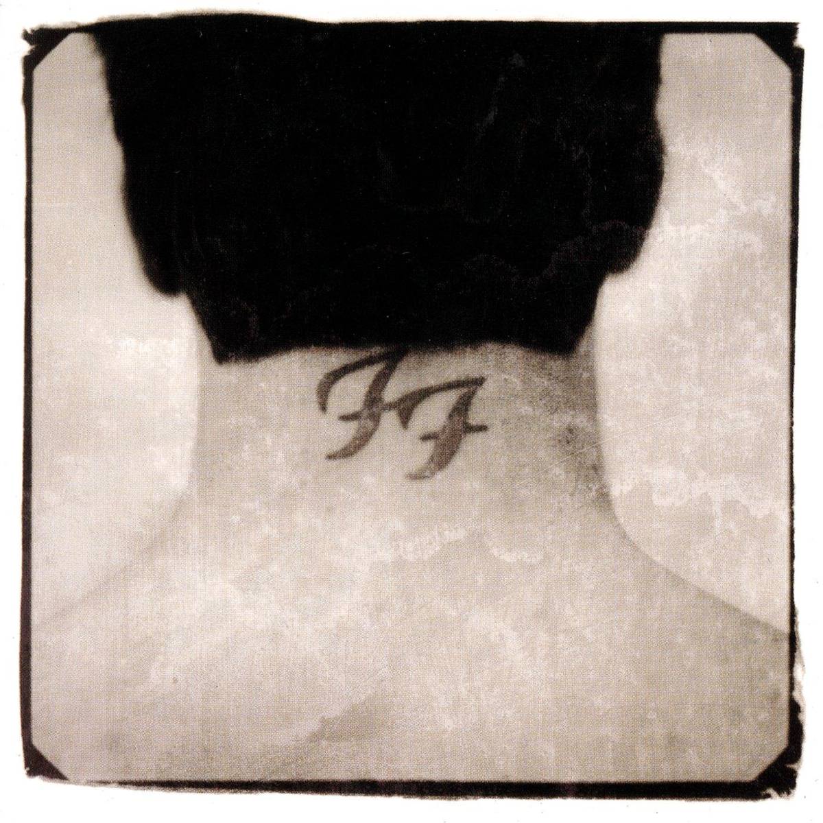 There Is Nothing Left To Lose - Foo Fighters - Poster | Canvas Wall Art Print