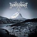 True North - Borknagar - Poster | Canvas Wall Art Print