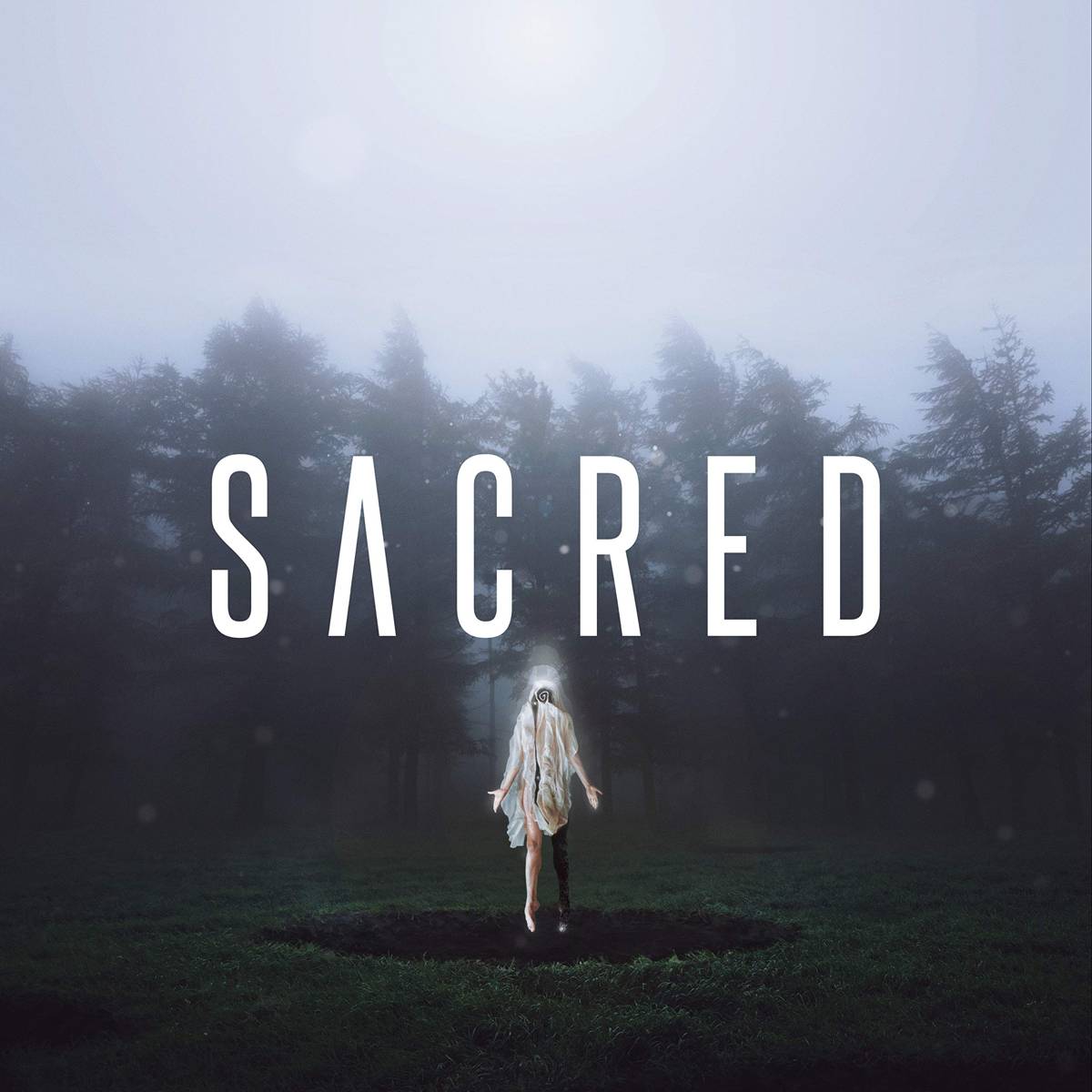 Sacred - Citizen Soldier - Poster | Canvas Wall Art Print