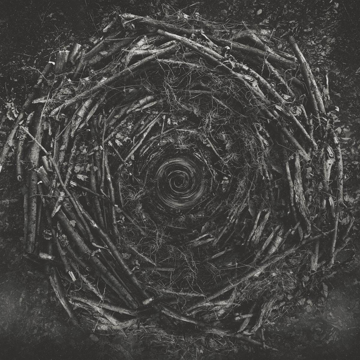 Clairvoyant - The Contortionist - Poster | Canvas Wall Art Print