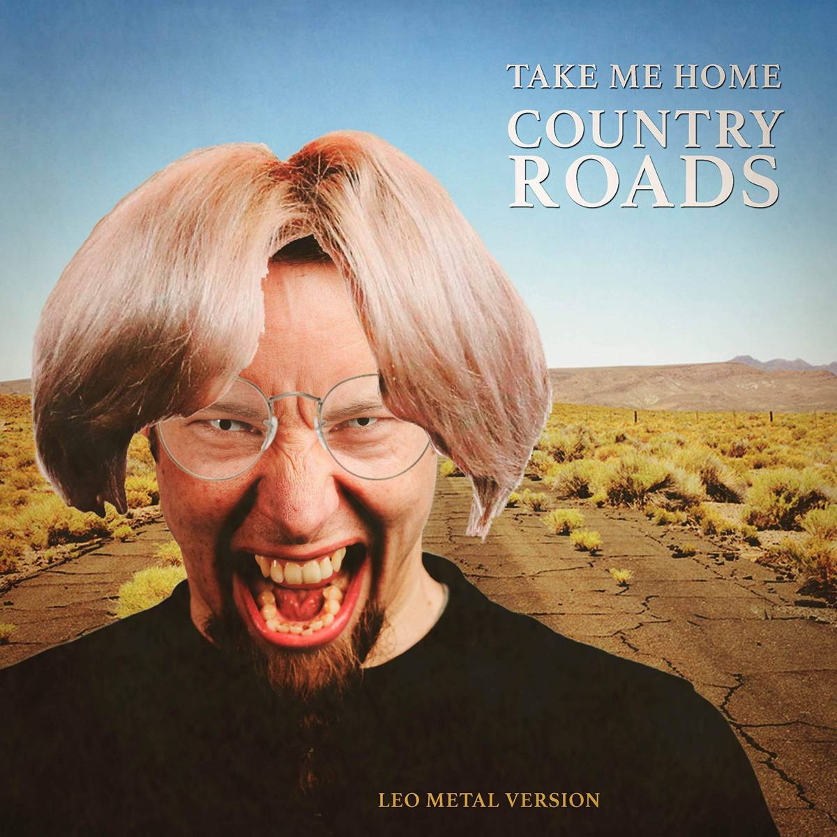 Take Me Home, Country Roads (Metal Version) - Leo - Poster | Canvas Wall Art Print