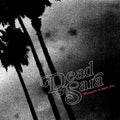 Pleasure To Meet You - Dead Sara - Poster | Canvas Wall Art Print