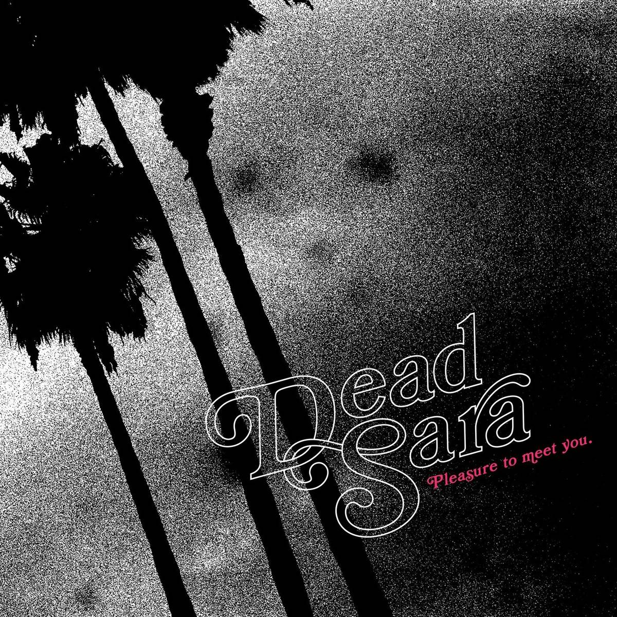 Pleasure To Meet You - Dead Sara - Poster | Canvas Wall Art Print