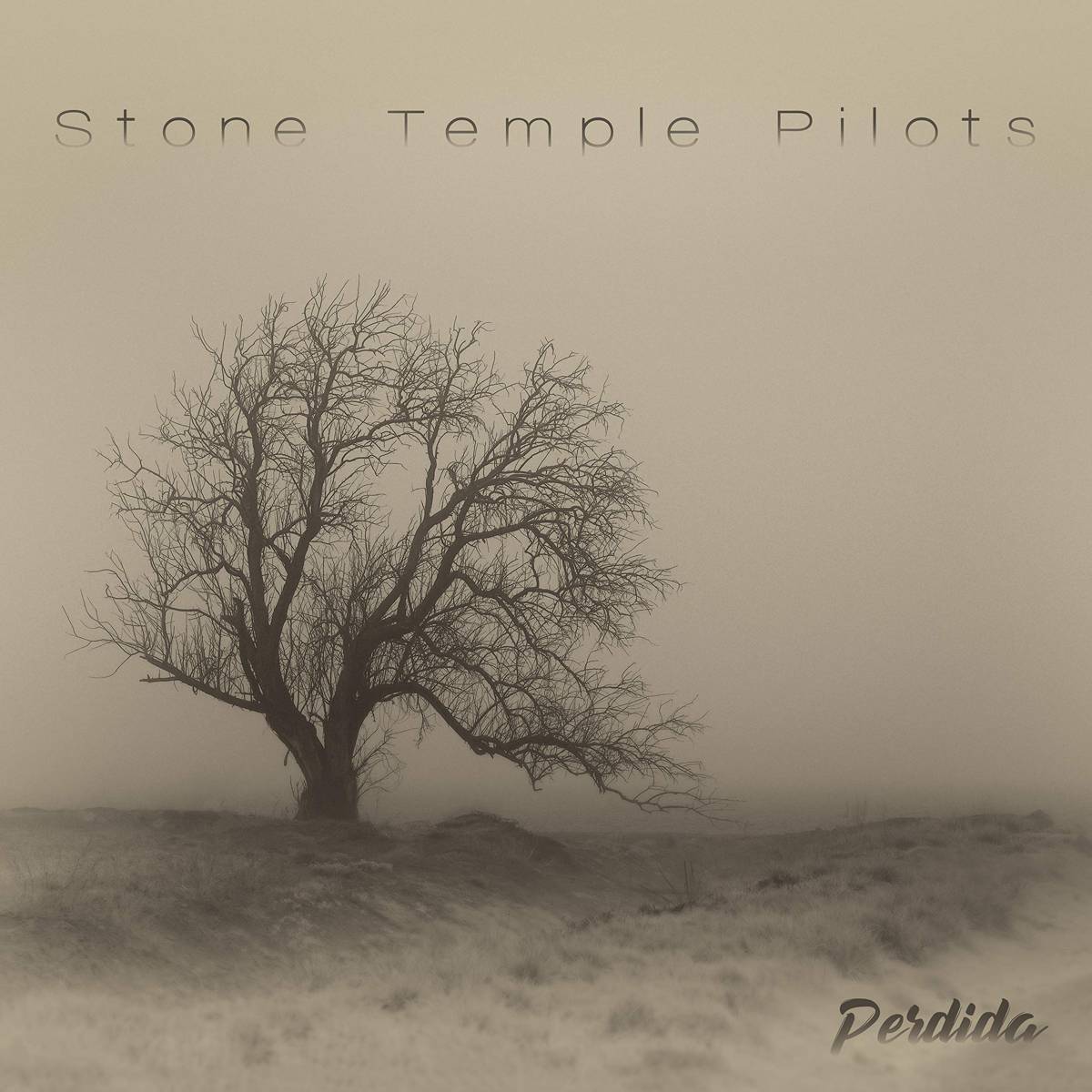 Perdida - Stone Temple Pilots - Poster | Canvas Wall Art Print