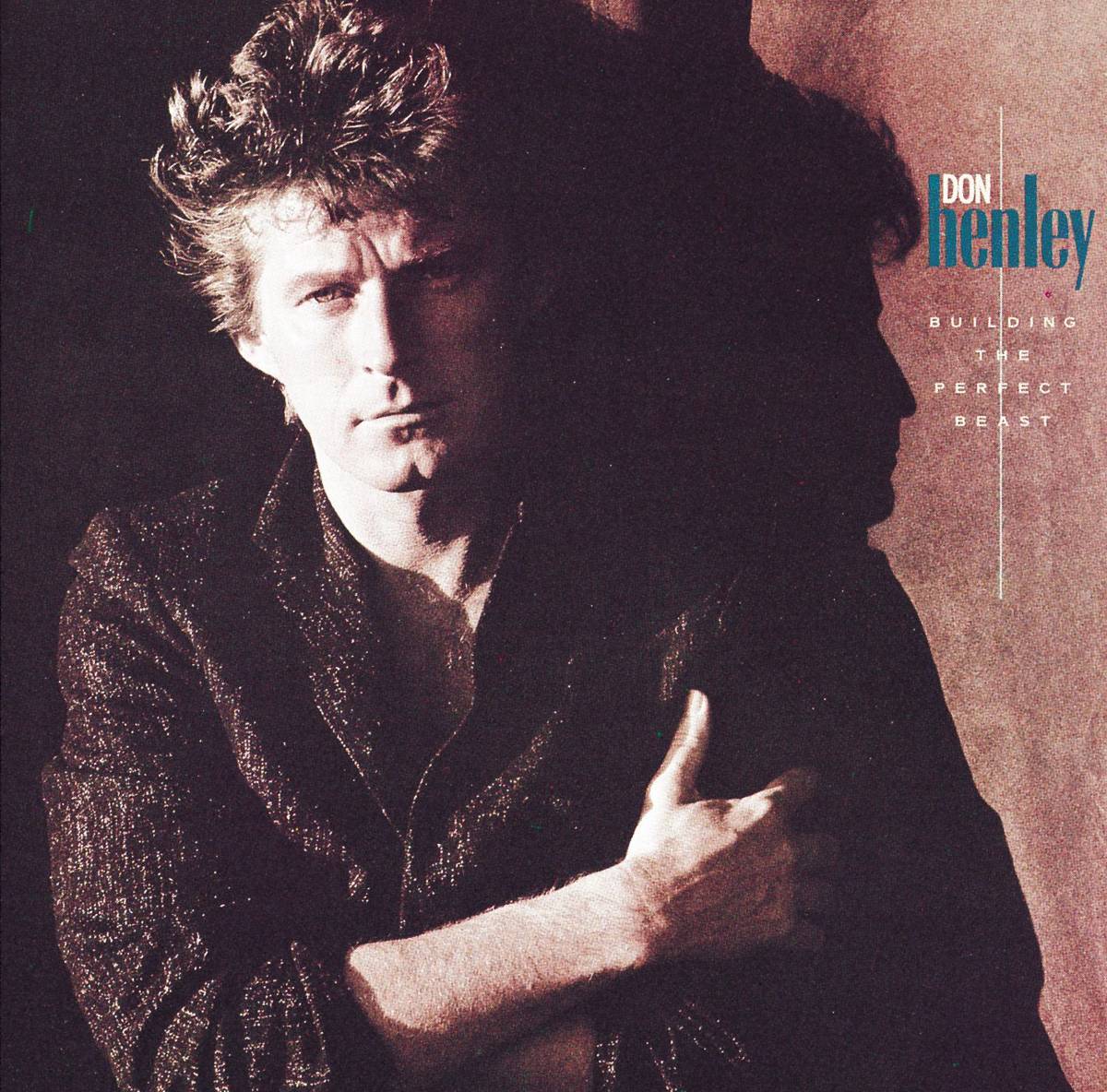 Building The Perfect Beast - Don Henley - Poster | Canvas Wall Art Print