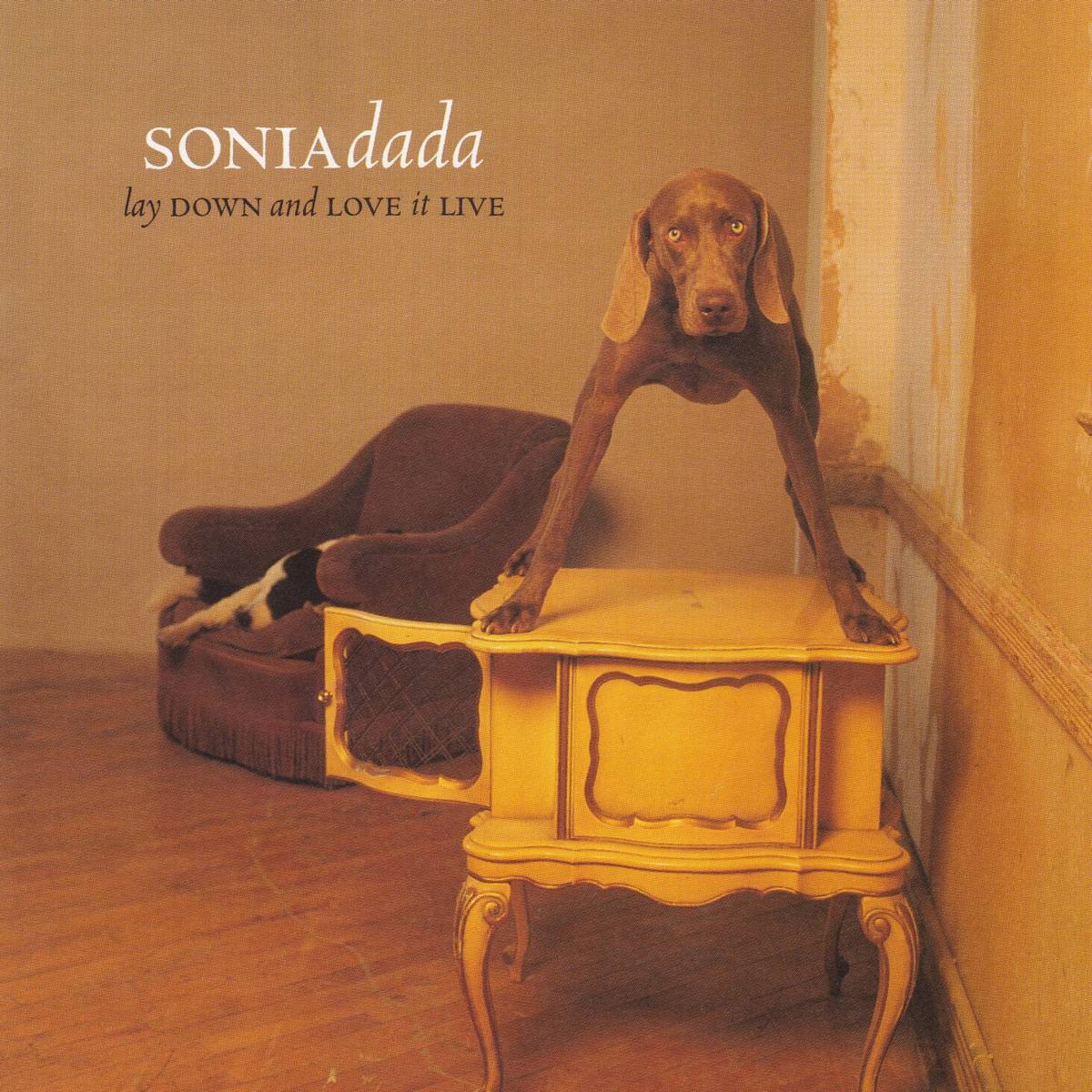 Lay Down And Love It Live - Sonia Dada - Poster | Canvas Wall Art Print