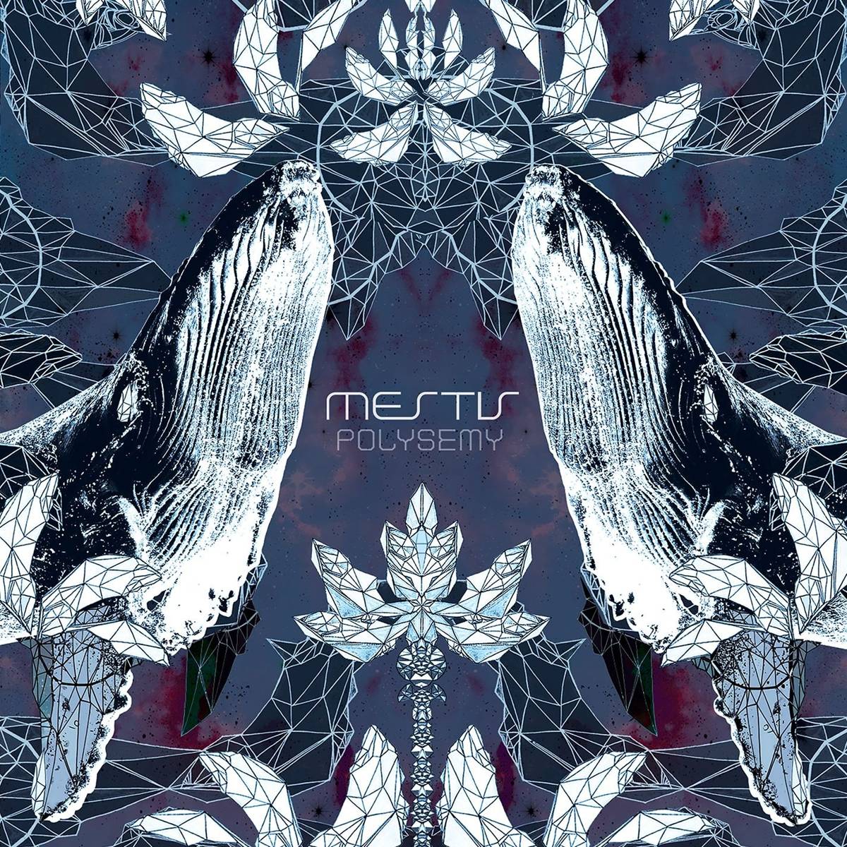 Polysemy - Mest√¨_S - Poster | Canvas Wall Art Print