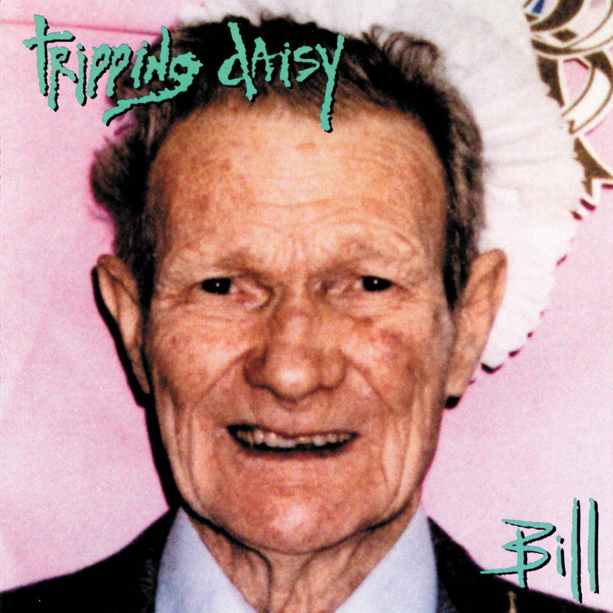 Bill - Tripping Daisy - Poster | Canvas Wall Art Print