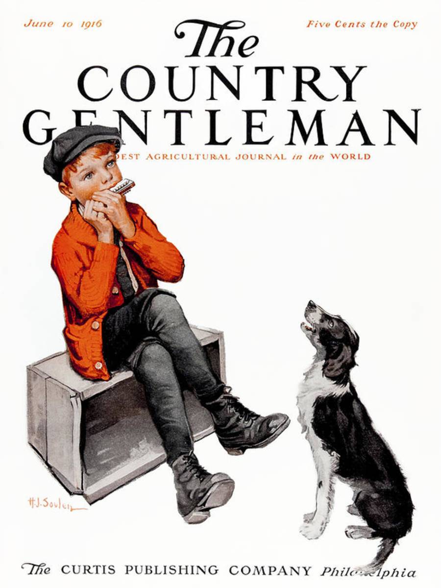 Cover Of Country Gentleman Agricultural - Poster | Canvas Wall Art Print