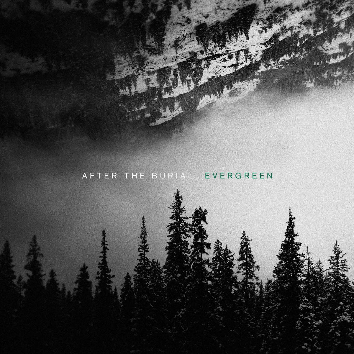 Evergreen - After The Burial - Poster | Canvas Wall Art Print