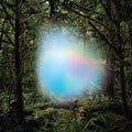 Ghosts Of The Forest - Trey Anastasio - Poster | Canvas Wall Art Print