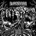 Fractured Fairytales Ep - Blackbriar - Poster | Canvas Wall Art Print