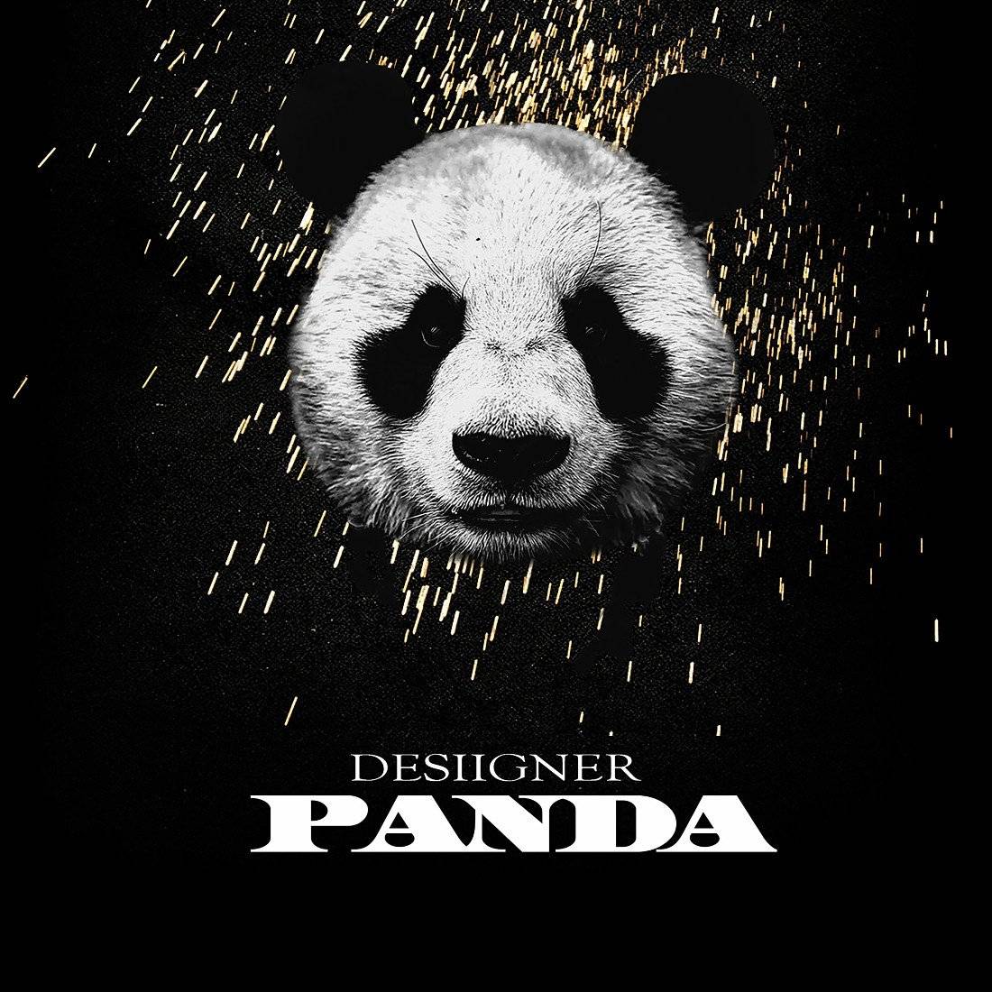 Desiigner - Panda Hiphop Rapper Super Star Music - Poster | Canvas Wall Art Print