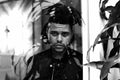 The Weeknd Singer Prints Room Decor Black And White - Poster | Canvas Wall Art Print