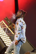 Lil Uzi Vert Smoke Raper Hip Hop - Poster | Canvas Wall Art Print
