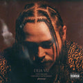 Post Malone Stoney Rap - Poster | Canvas Wall Art Print