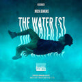 Mick Jenkins The Water‰Ûªs - Poster | Canvas Wall Art Print