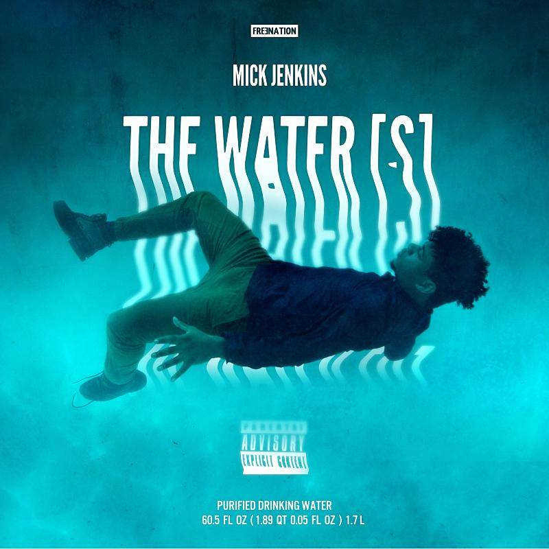 Mick Jenkins The Water‰Ûªs - Poster | Canvas Wall Art Print