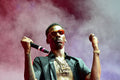 Young Dolph Live Music Fan - Poster | Canvas Wall Art Print