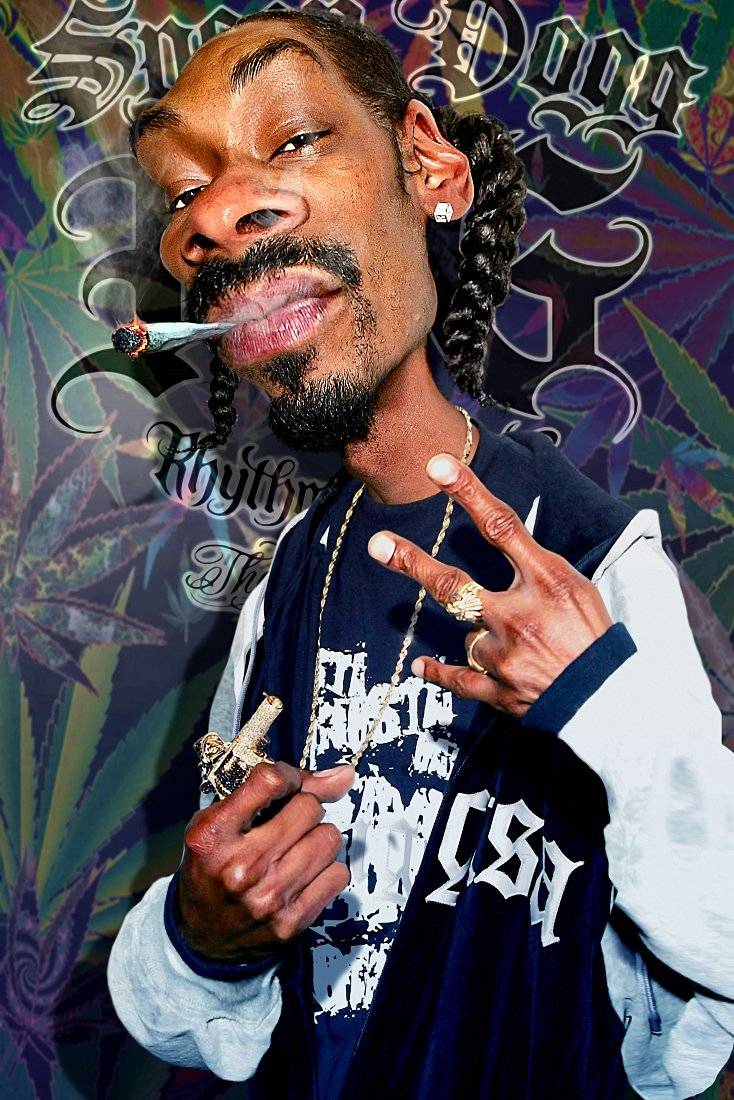 Snoop Dogg Rap Rapper Artwork - Poster | Canvas Wall Art Print