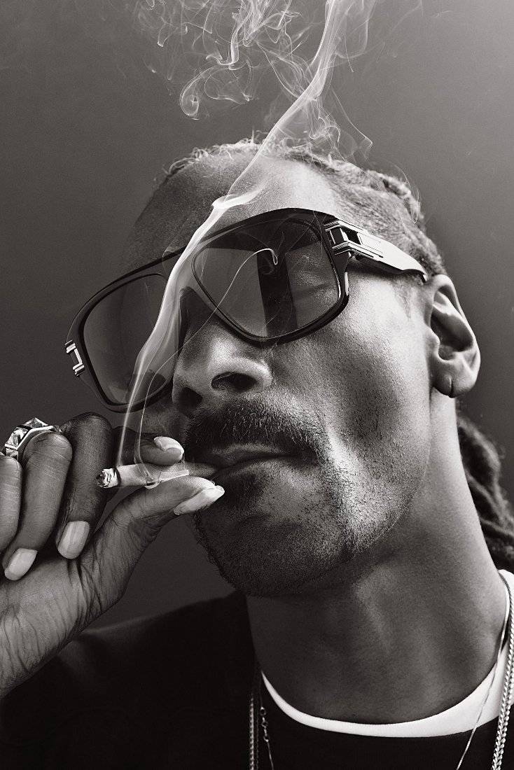 Snoop Dogg Face Smoke Rap - Poster | Canvas Wall Art Print