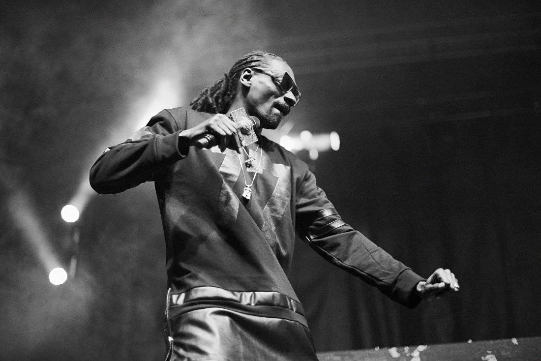 Snoop Dogg Music Rap - Poster | Canvas Wall Art Print