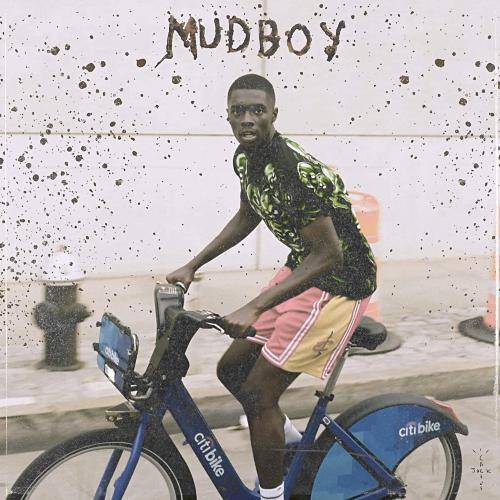 Sheck Wes (1/7) - Poster | Canvas Wall Art Print