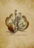 Steampunk Orange - Option - Poster | Canvas Wall Art Print