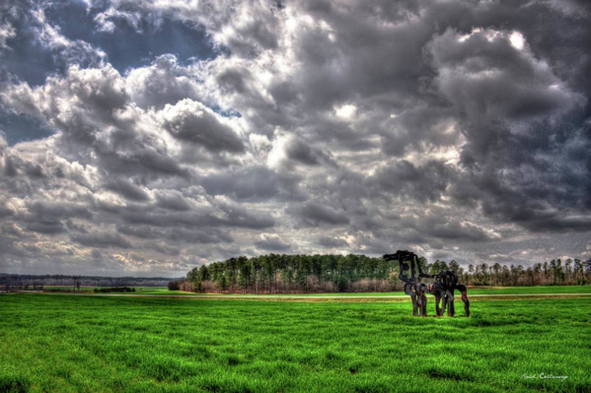 A Cloudy Day Winter Wheat The Iron Horse Art - Poster | Canvas Wall Art Print