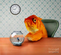 A Fish Out Of Water - Poster | Canvas Wall Art Print