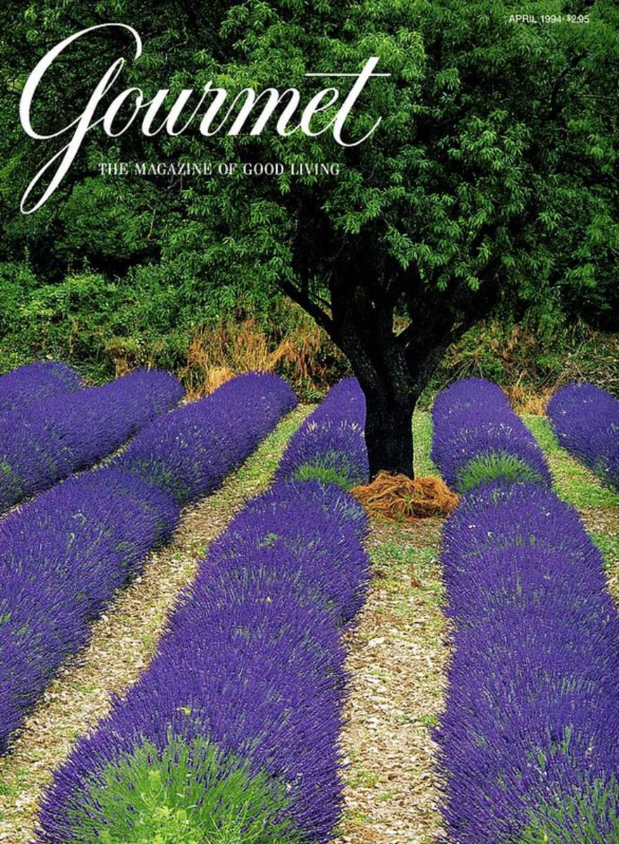 A Gourmet Cover Of A Lavender Field - Poster | Canvas Wall Art Print