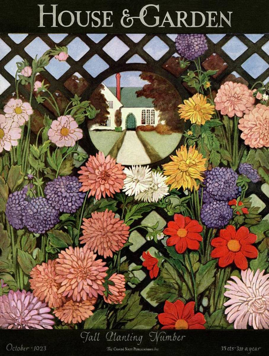 A House And Garden Cover Of Flowers - Poster | Canvas Wall Art Print