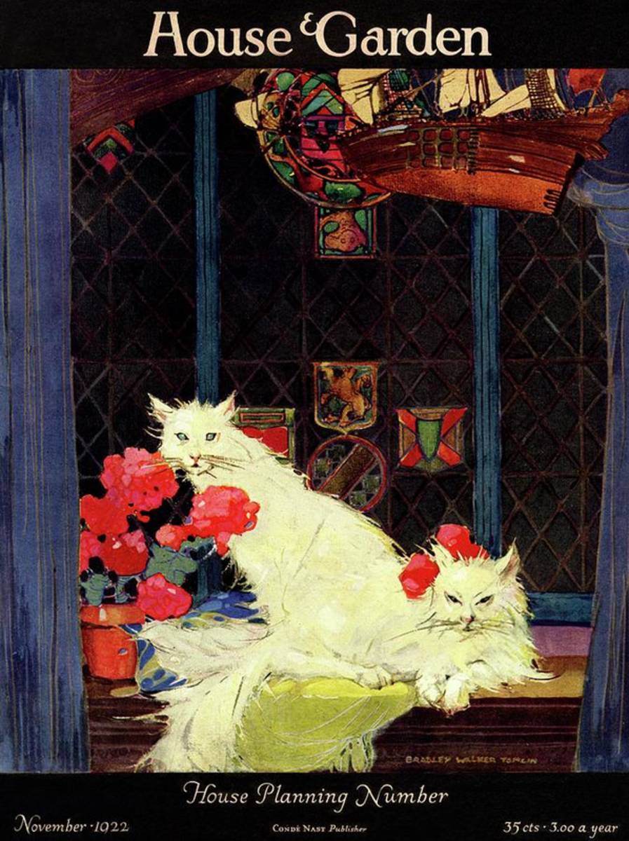 A House And Garden Cover Of White Cats - Poster | Canvas Wall Art Print