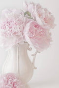 A Jug Of Soft Pink Peonies - Poster | Canvas Wall Art Print