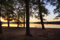Albee Beach Sunrise - Poster | Canvas Wall Art Print
